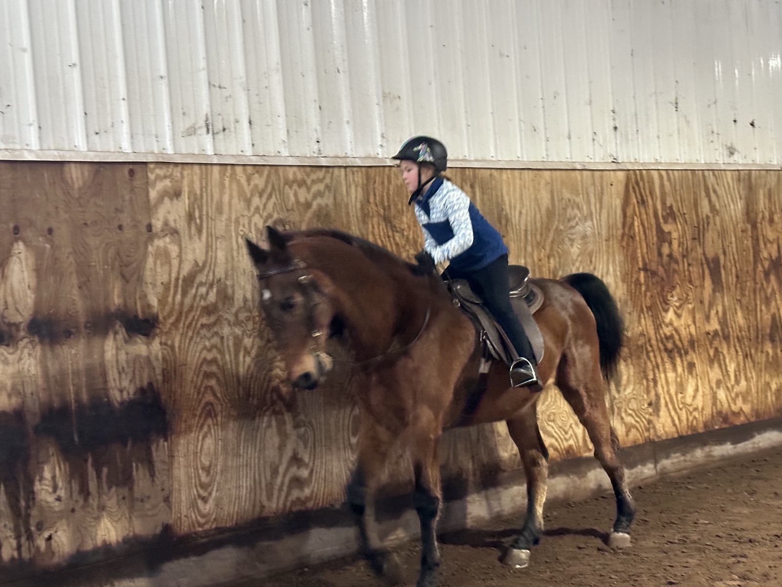 Evelyn riding confidently in the indoor arena