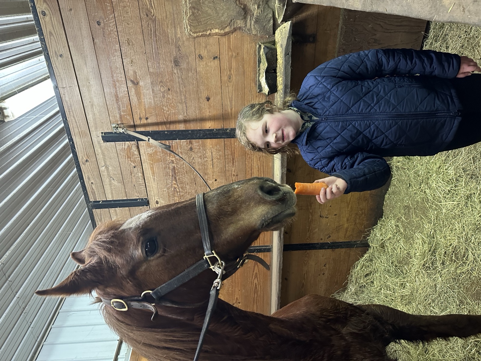 Evelyn feeding a horse in the barn at LaFleur