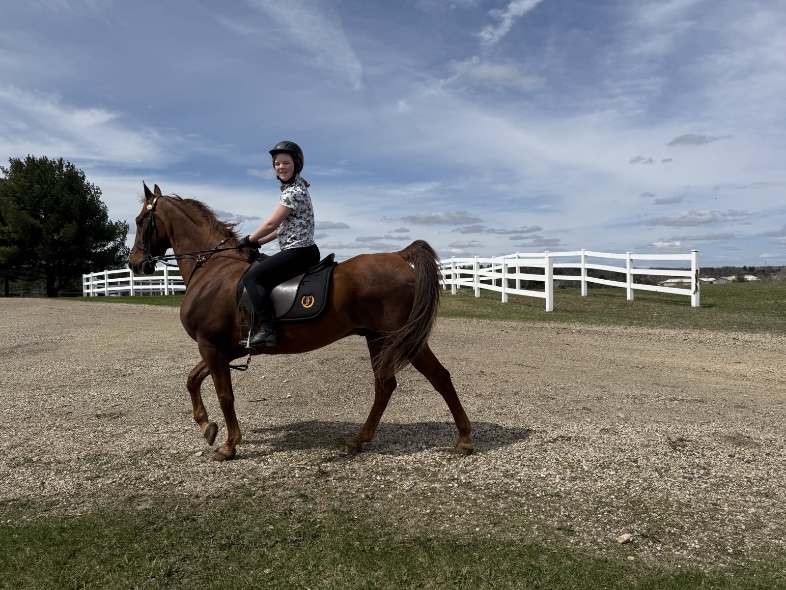 Evelyn trotting confidently outdoors in spring 2025